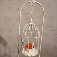 جا شمعی طرح قفس پرنده