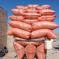کاه گندم سفید نرم