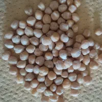 نخود درجه یک به شرط پخت