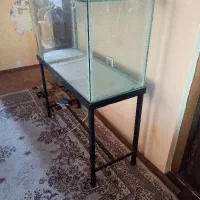 آکواریوم ماهی