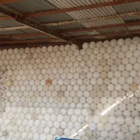 دبه خیارشور درحد نو