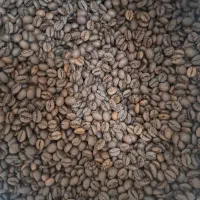 پخش دان قهوه عمده