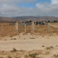 هزارمتر-سند-شش-دانگ-عرصه-اعیان