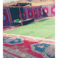 داربست مجالس