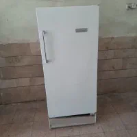 یخچال فریزر ارج سالم