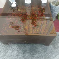 مبل وگل میز