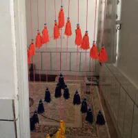 پرده منگولی