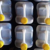 شیره خرما ورب خرما