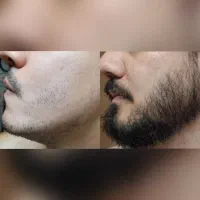کوسه بیا شیر برو