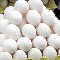 پخش تخم مرغ مستقیم از درب مرغداری