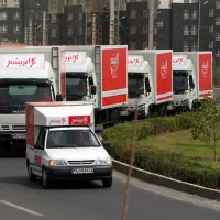 قالیشویی گل ابریشم