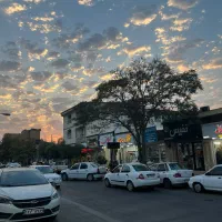 مغازه-تجاری