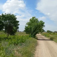 فقط ۴ قطعه باقی مانده زمین ۵۰۰ متری(اقساطی)