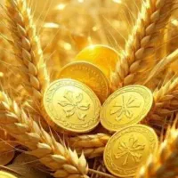 کار در منزل با گوشی