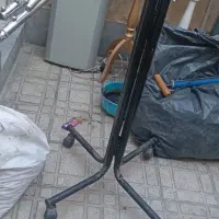 رگال چهارشاخ