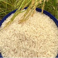 برنج اصیل ایرانی