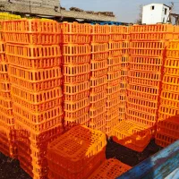 قفس حمل مرغ زنده ایرانی و صادراتی
