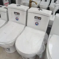 اماتیس آکس ۱۸ بزرگ فرنگی مدل بیضی ایرانی