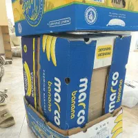 کارتن موز|ابزارآلات|سنندج, |دیوار