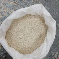 برنج طارم هاشمی اصل