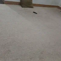 پالاز موکت