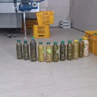 اعطا نمایندگی عرضی شوریجات و ترشیجات