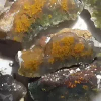 شجر منظره و عقیق