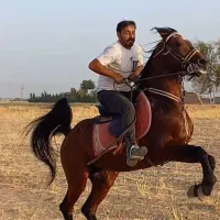 نریان کهرشیش دنگ