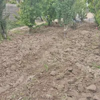 خدمات باغبانی بیل زنی علف زنی