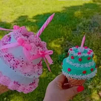کیک عکاسی گوگولی 350 تومان