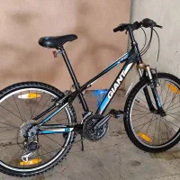 جاینت xtc Jr 24 وارداتی