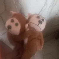 تعدادی پرده گیر میمون
