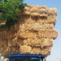 خرید‌و‌فروش‌کاه‌‌ کلش‌یونجه