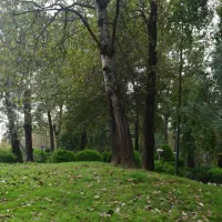 فروش-زمین-ویلایی