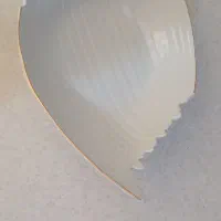 ظروف اشپزخانه