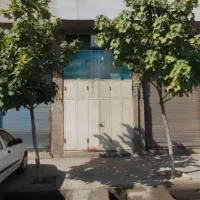 فروش-مغازه-یقطین