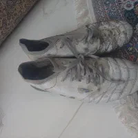 استوک میزانو سالم