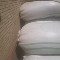 کاه یونجه