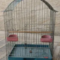 قفس پرنده