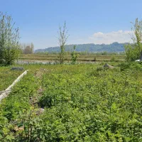 زمین-روستایی-مسکونی-نزدیک-شهر-لاهیجان-ویو-ابدی