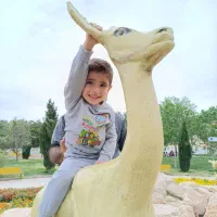 آموزش ژیمناستیک آقایان