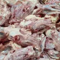 اشغال  گوشت مرغ