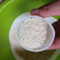 برنج طارم هاشمی امساله