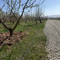 یک-قطعه-510متری-زمین-در-جابان-بزرگ-amp-laquo-سند-تکبرگ-amp-raquo