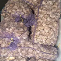 سیر|خوردنی و آشامیدنی|پارس‌آباد, |دیوار