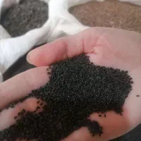 تخم شربتی،دانه چیا و برنج چمپا