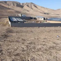 1000-متر-دیمزار-در-روستای-بادرود
