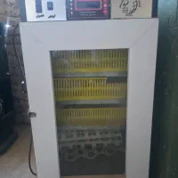 دستگاه جوجه کشی