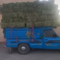 بیده گلبافت کرمان تحویل میدم نیسان