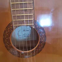 گیتار کلاسیک هافنر